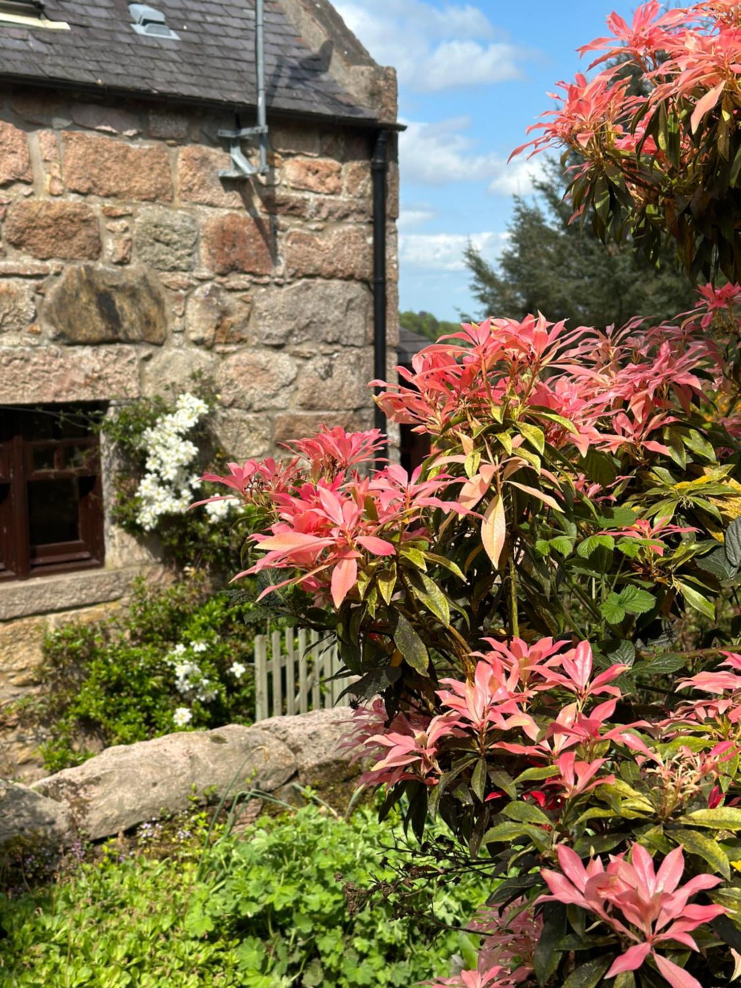 Bed and Breakfast Awakening Alchemy Retreat Centre Inverurie Zewnętrze zdjęcie